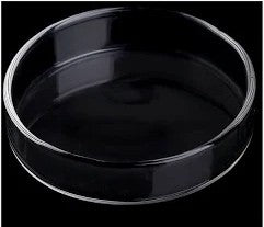 Assiette nourrissage (verre)